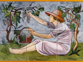 2-amaranto-vendemmia